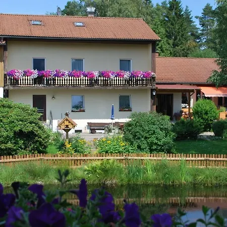 Wirtshaus Birkenhof 招待所 *